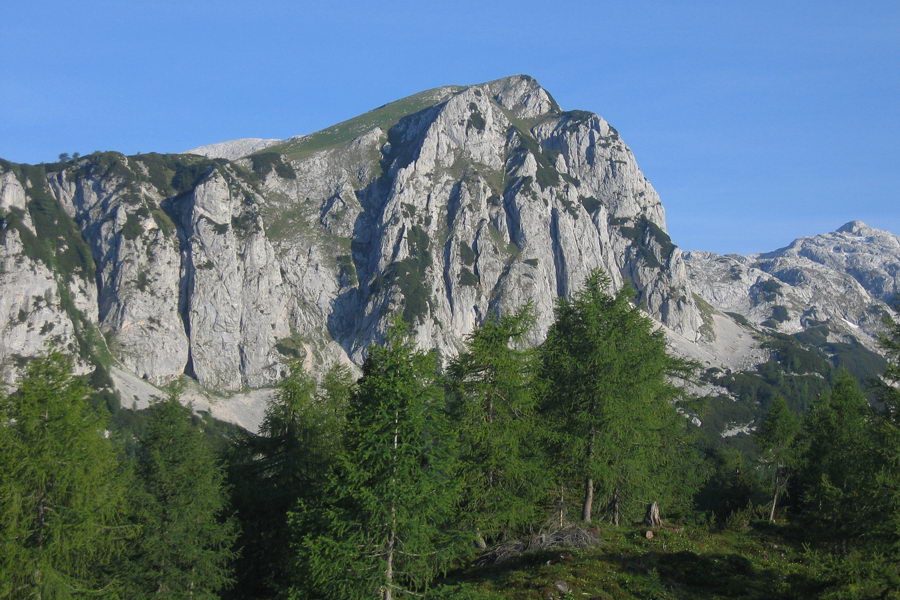 Ogradi
