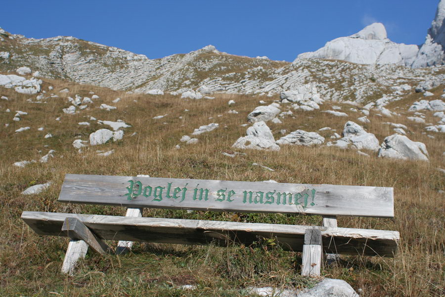 Pavza
