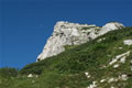 Kogel