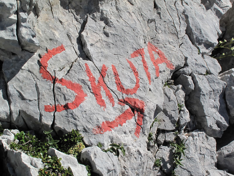 Proti Skuti