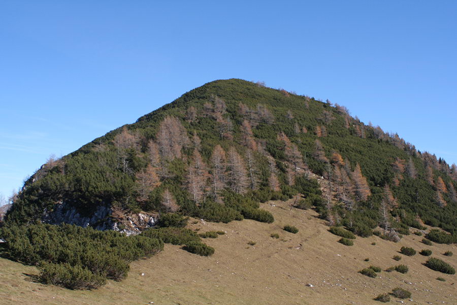 Vrtaški vrh