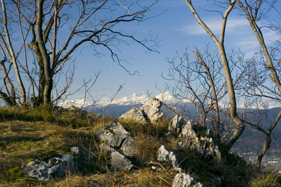 Julijci