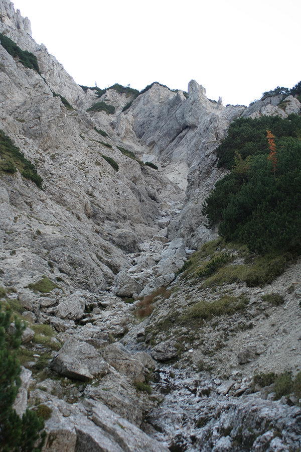 Grapa proti sedlu
