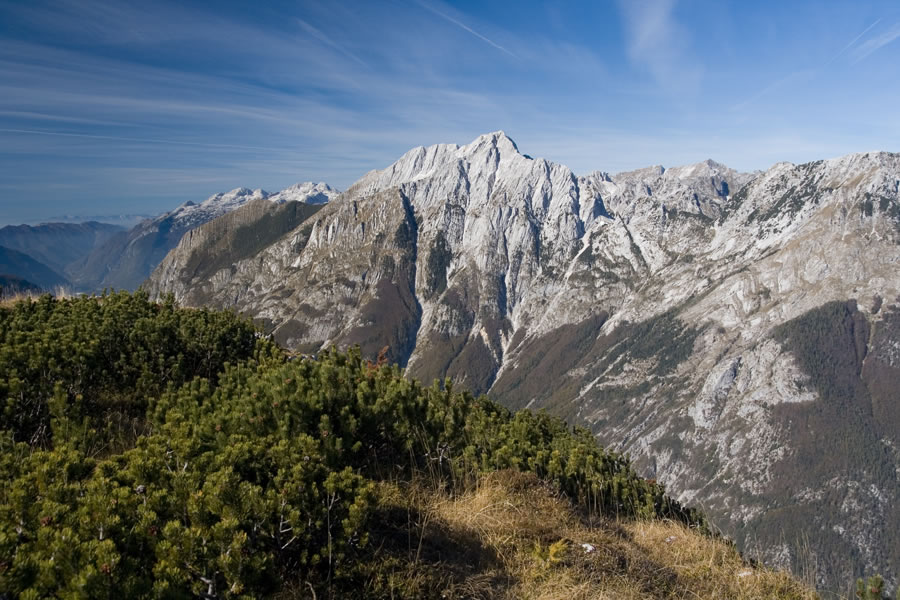 Bavški Grintovec