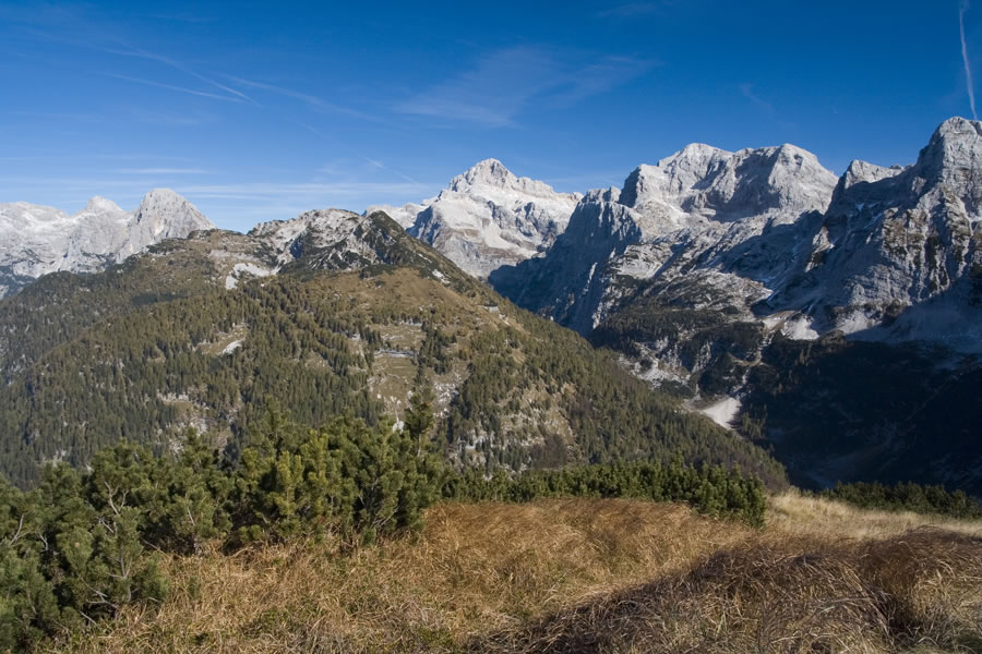 Zadnjiški Ozebnik, Triglav, Kanjavec