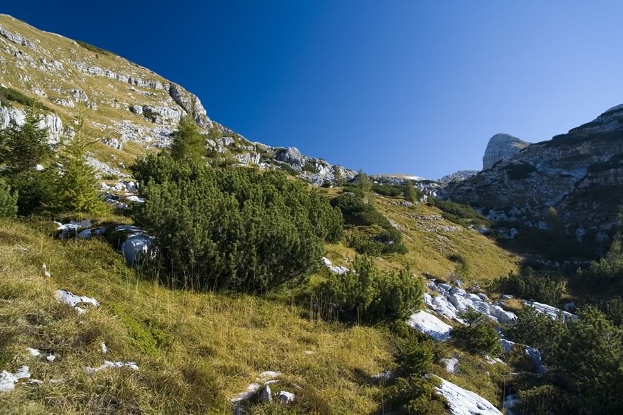 Dolina