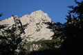 Kalška gora
