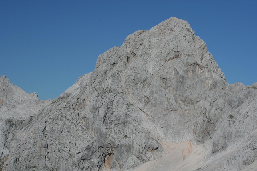 Skuta
