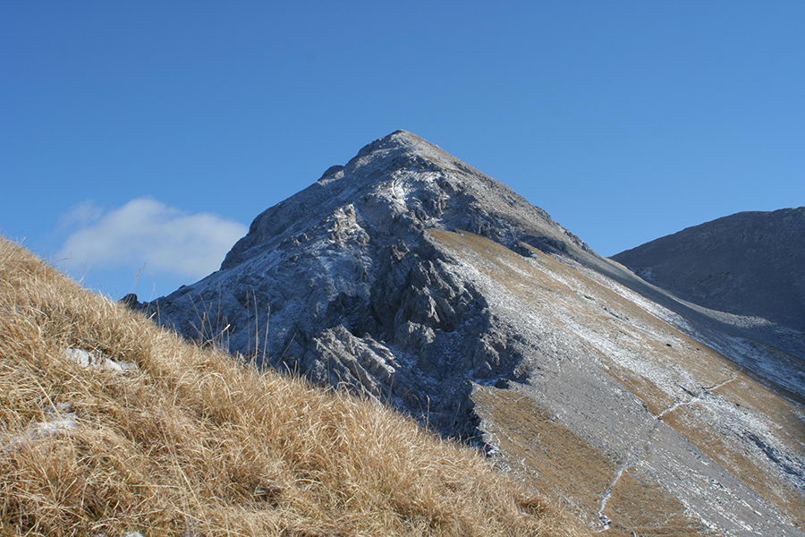 Stol