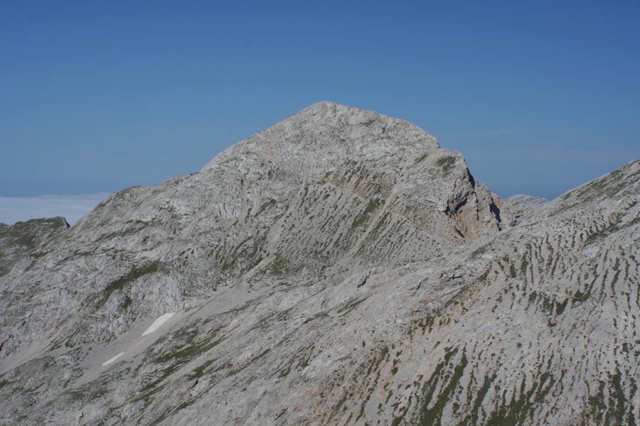 Mala Zelnarica