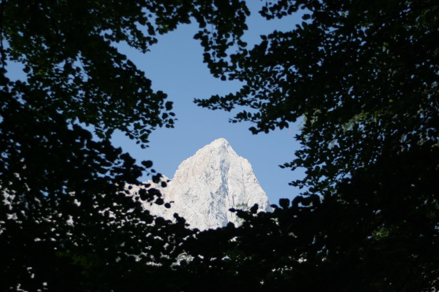 Špik