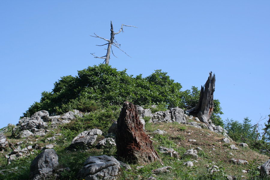 Vršič