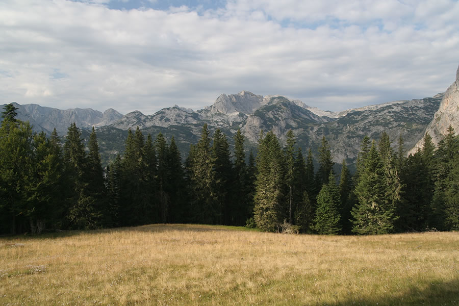 Razgledi