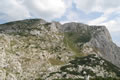 Sestopna gedina