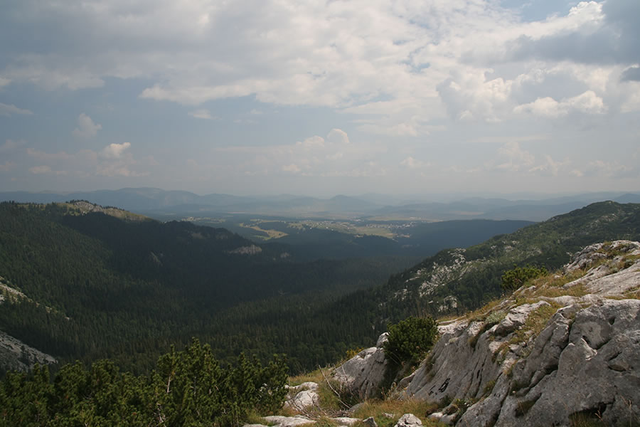 Žabljak