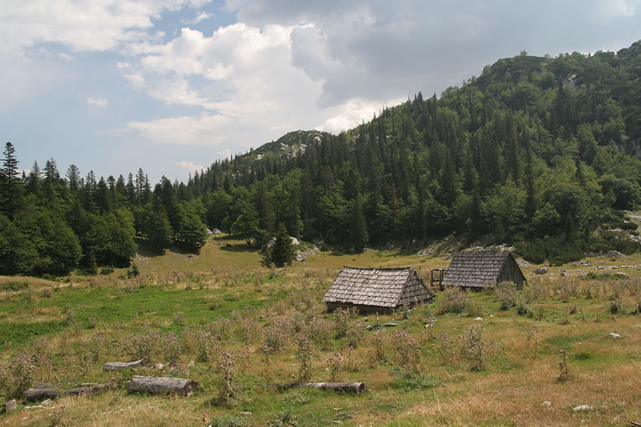 Crepuljna poljana