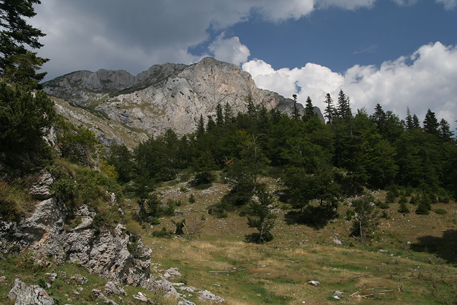 Crvena greda