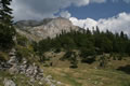 Crvena greda