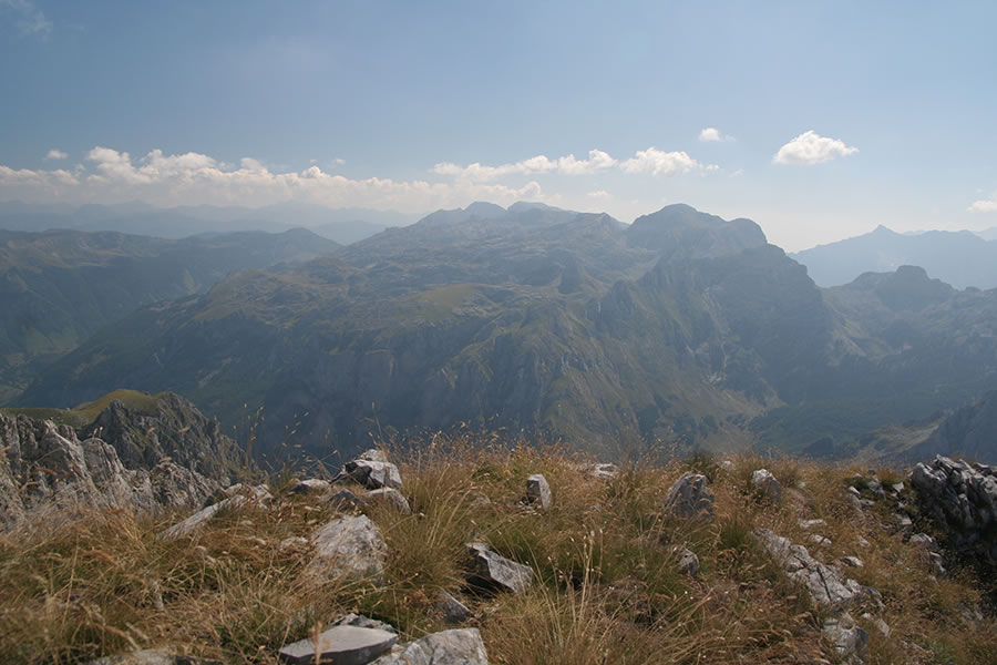 Bjelić