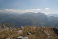 Bjelić