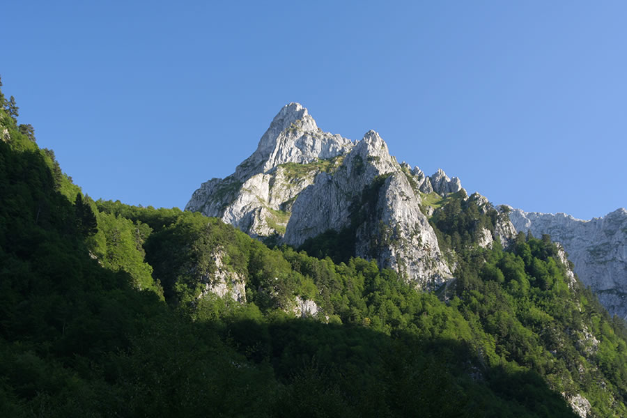 Očnjak