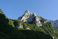 Očnjak
