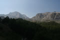 Kolata