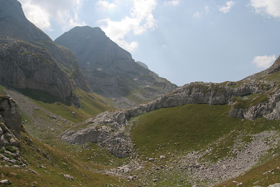 Zla Kolata