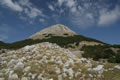 Štirovnik