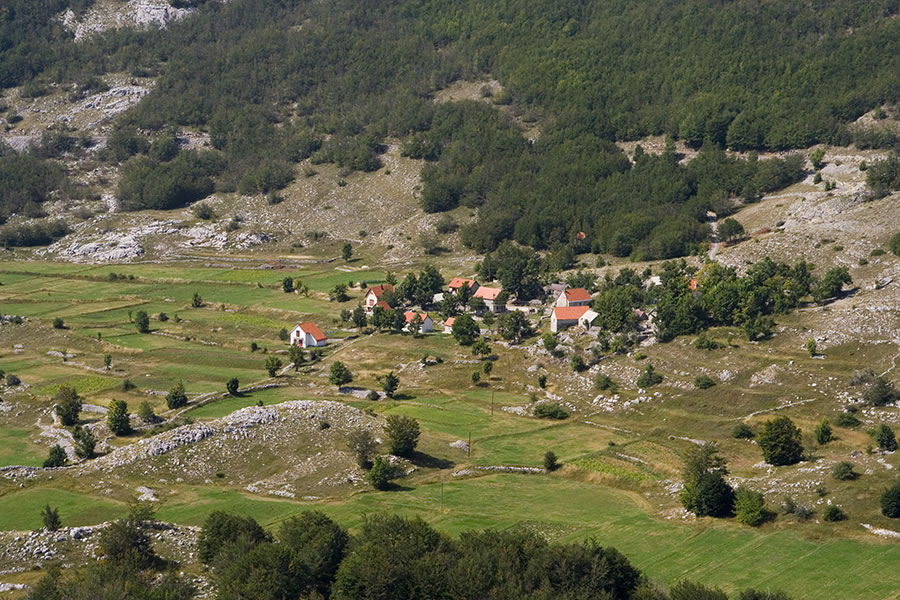 V. Bostur