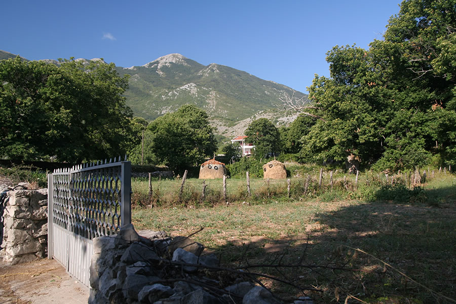 Rumija