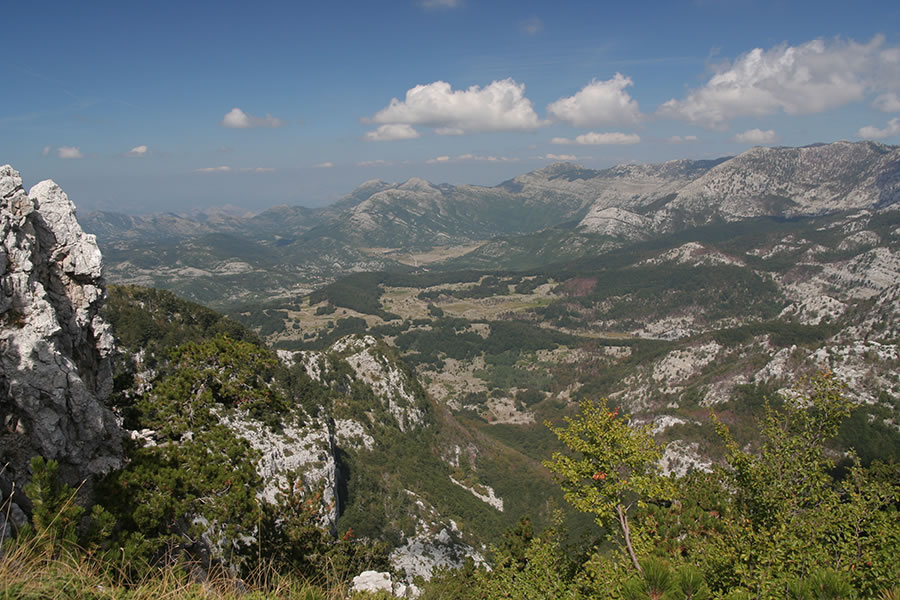 Proti SZ