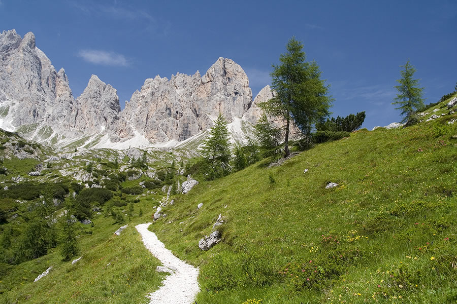Neuner (Pala di Popera)