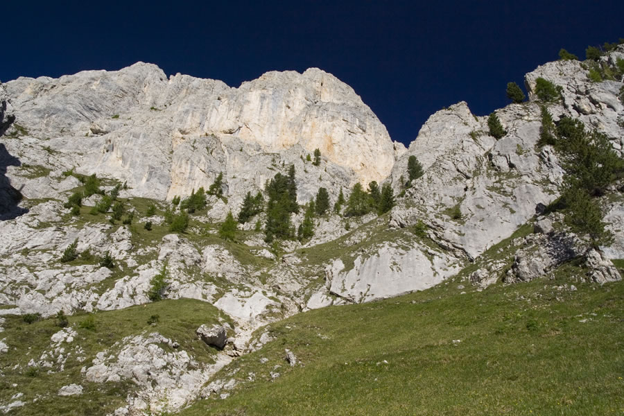 Nad potjo