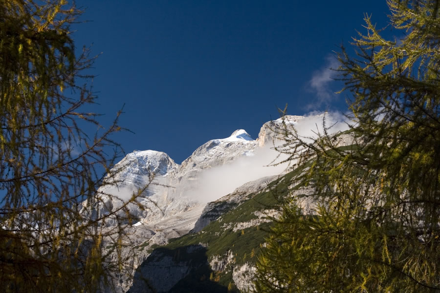 Tofane