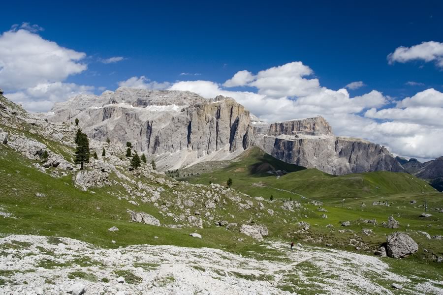 Sella