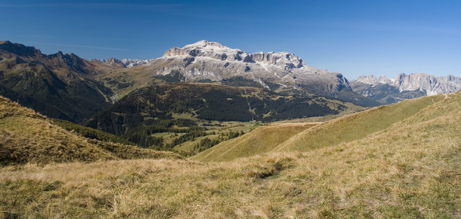 Sella