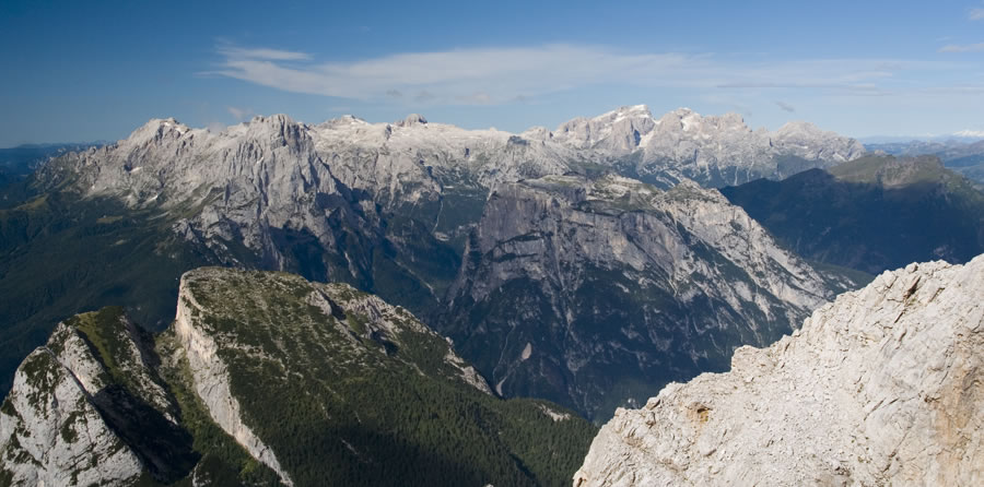 Pala