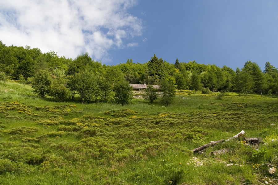 Malga Val di Fieno