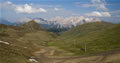 Rosengarten