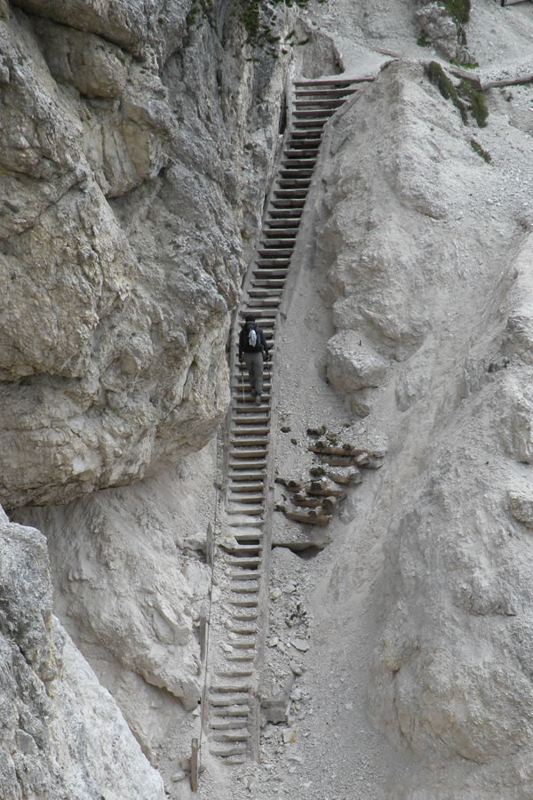 Sestop