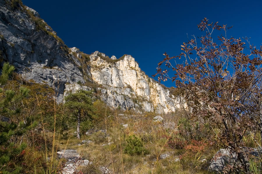 Proti steni Cime SAT