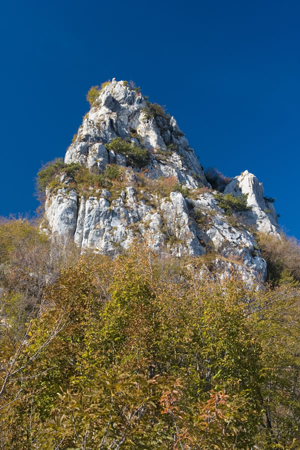 Cima SAT
