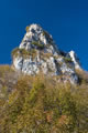 Cima SAT