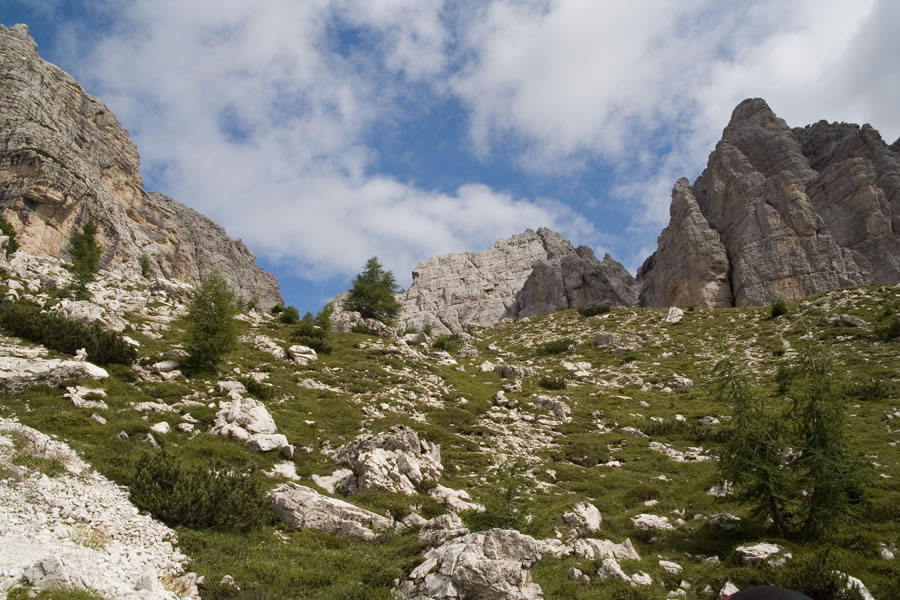Proti Tamerju
