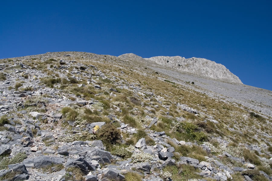 Proti Dirfisu