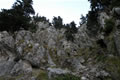 Pot Karagiannis