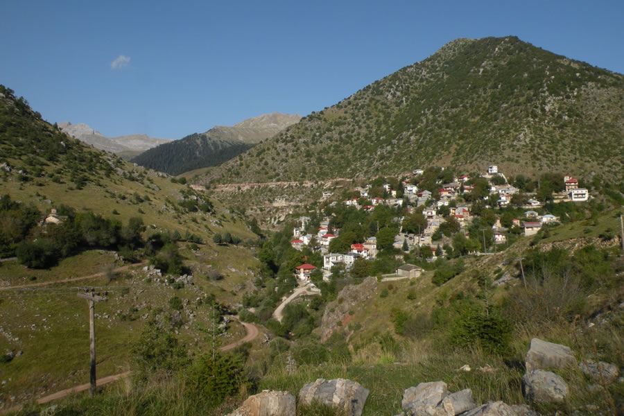 Haliki