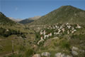 Haliki