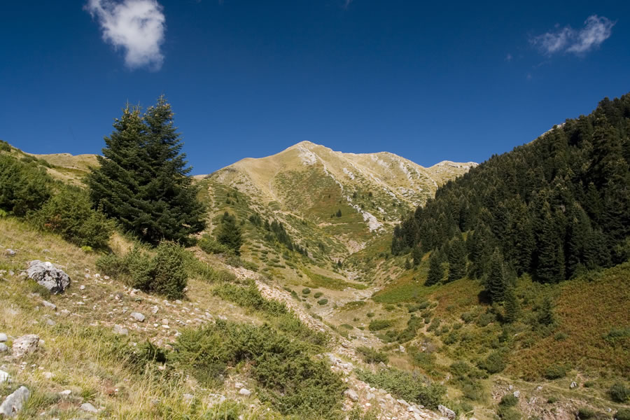 Proti Tsoukareli
